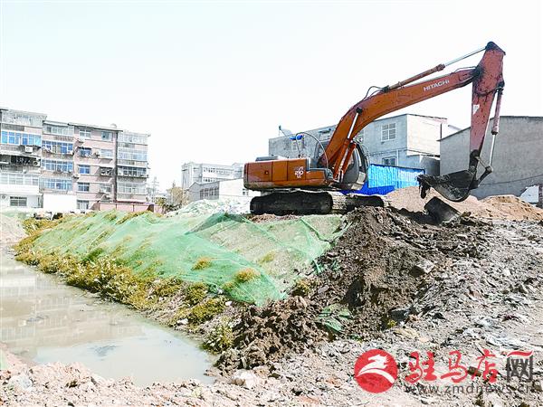 wangzh17041091.jpg