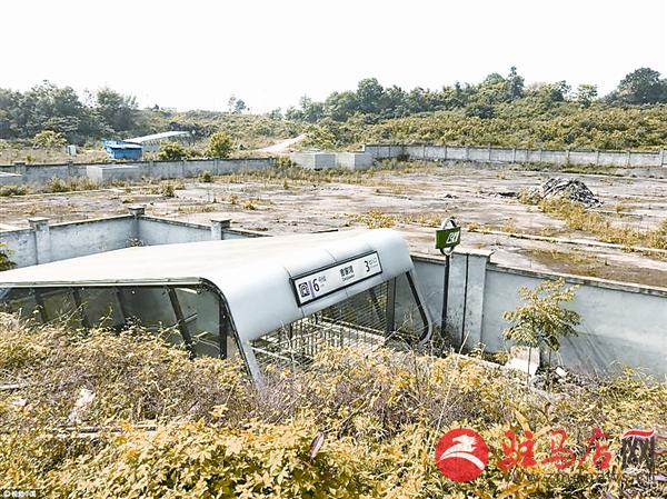 zhangxj170520.jpg