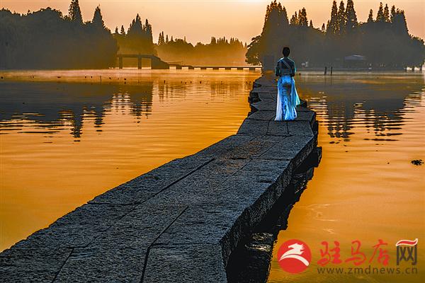 zhangxj170525.jpg