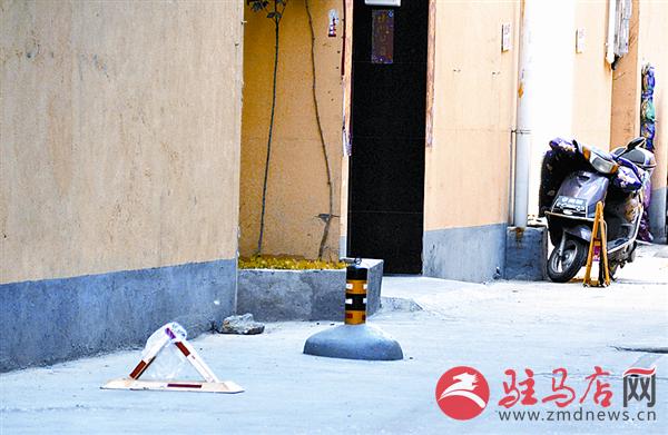 wangzh1705168.jpg