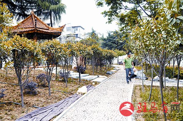 wangzh170628.jpg