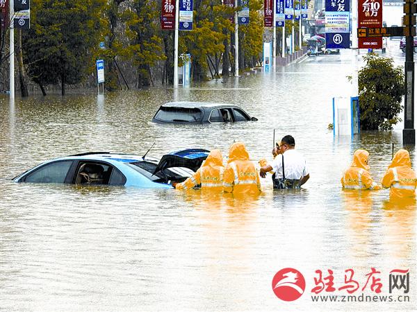 yangf170636.jpg