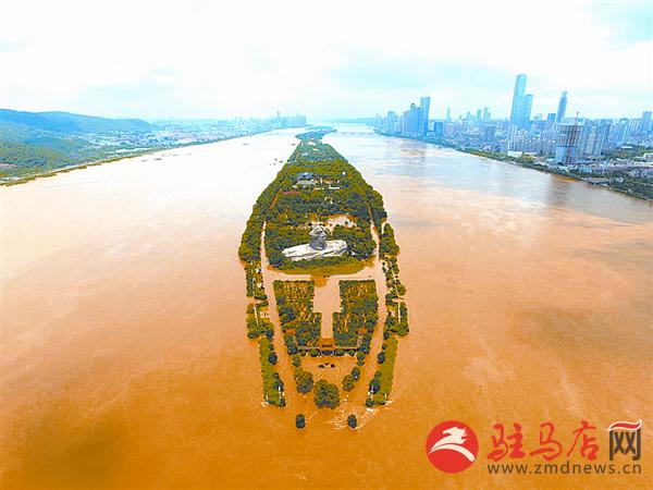yangf170718.jpg