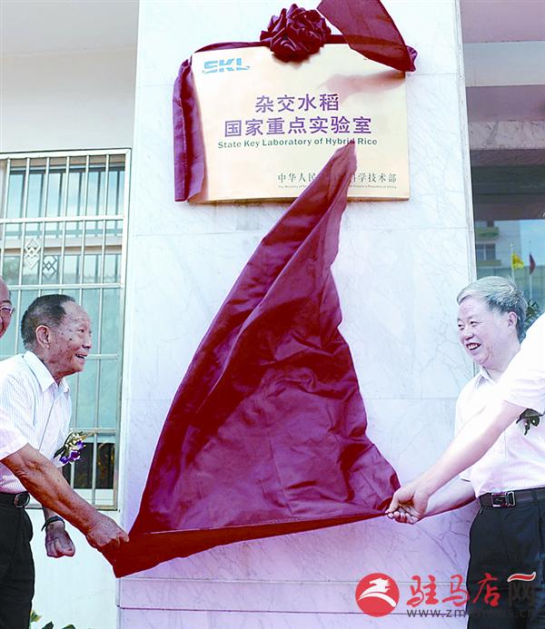 daih170853.jpg
