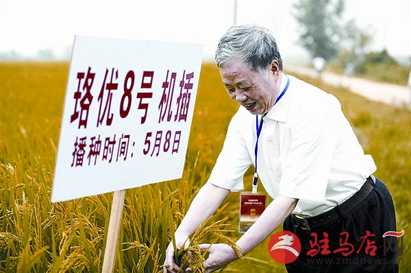 daih170854.jpg