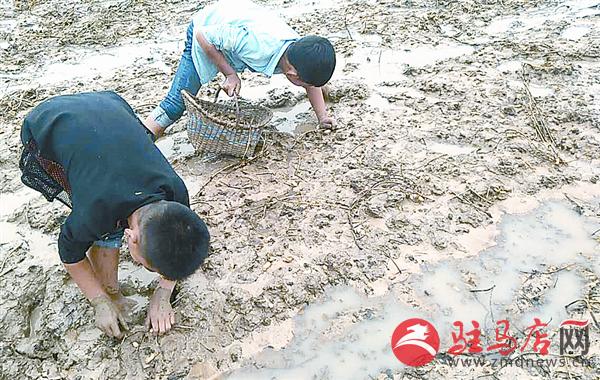 wangzh17104.jpg