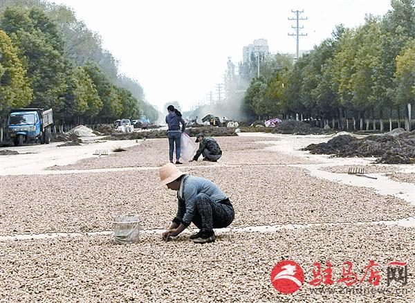 wangzh17101.jpg