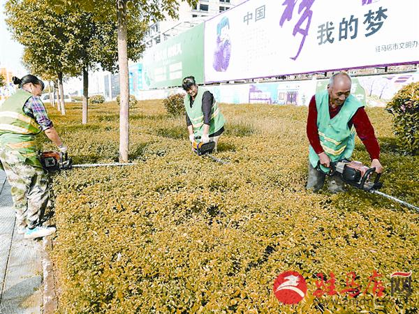 wangzh171079.jpg