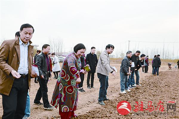 yangf171139.jpg