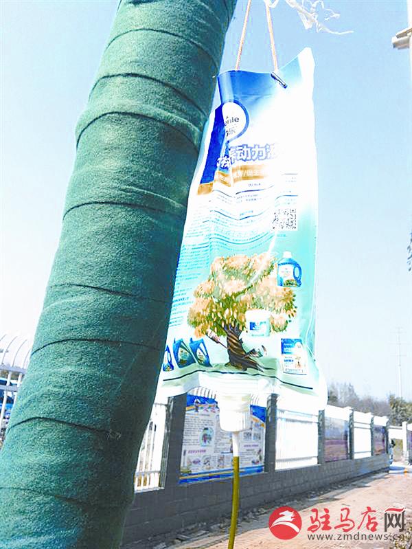 wangzh1711133.jpg