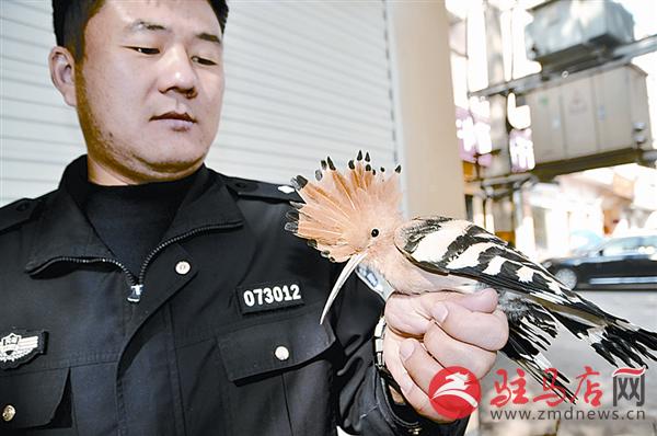 wangzh1711161.jpg