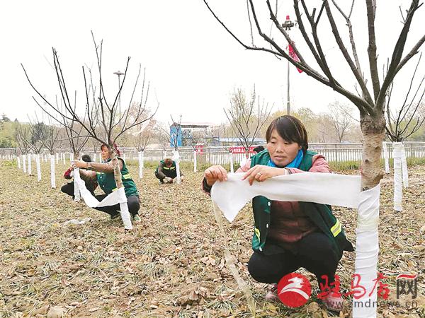 wangzh1711179.jpg