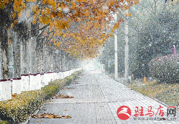zhaol1711122.jpg