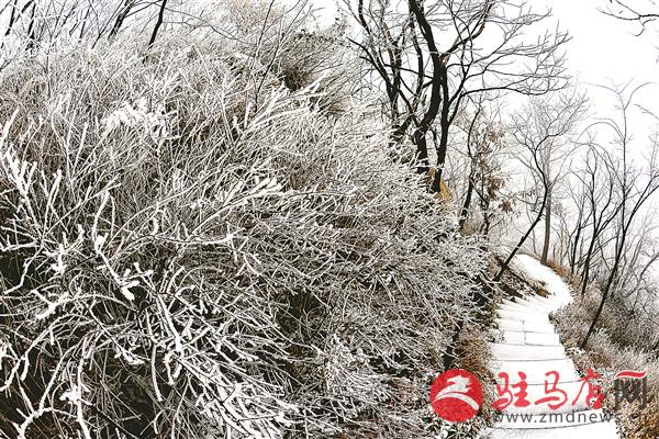 zhaol171252.jpg