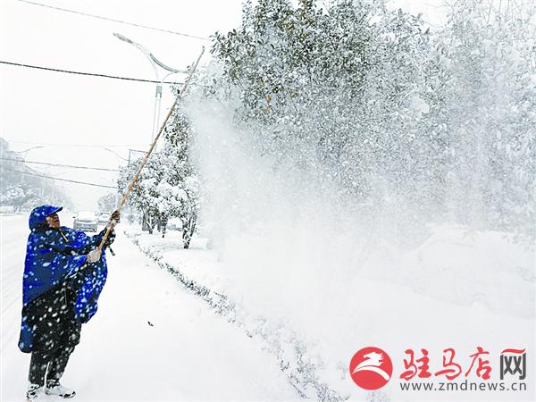 wangzh180130.jpg
