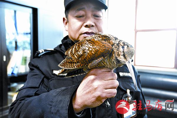 wangzh180156.jpg