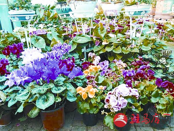 wangzh180165.jpg