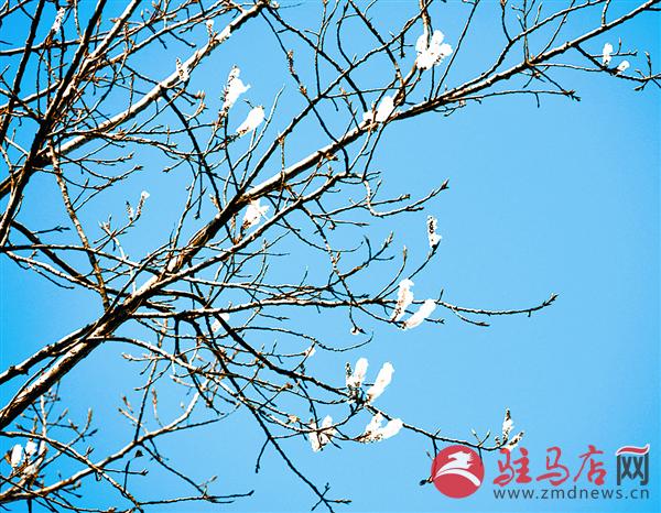 wangzh180174.jpg