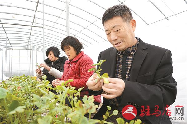 guojg1802206.jpg
