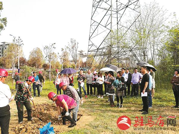 qif180433.jpg