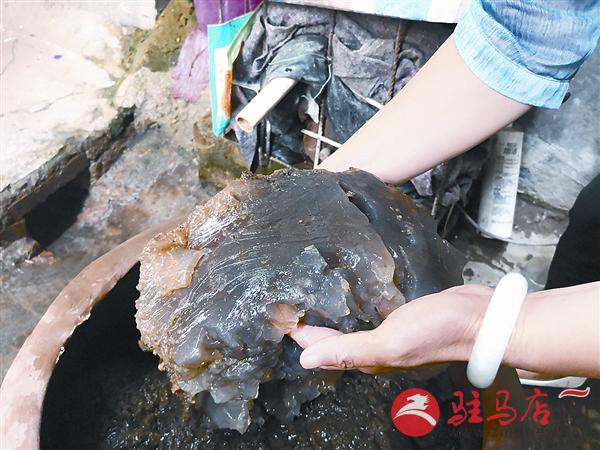 shixy1805158.jpg