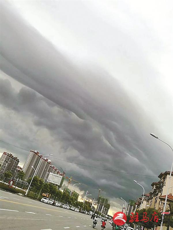 wangk1807108.jpg