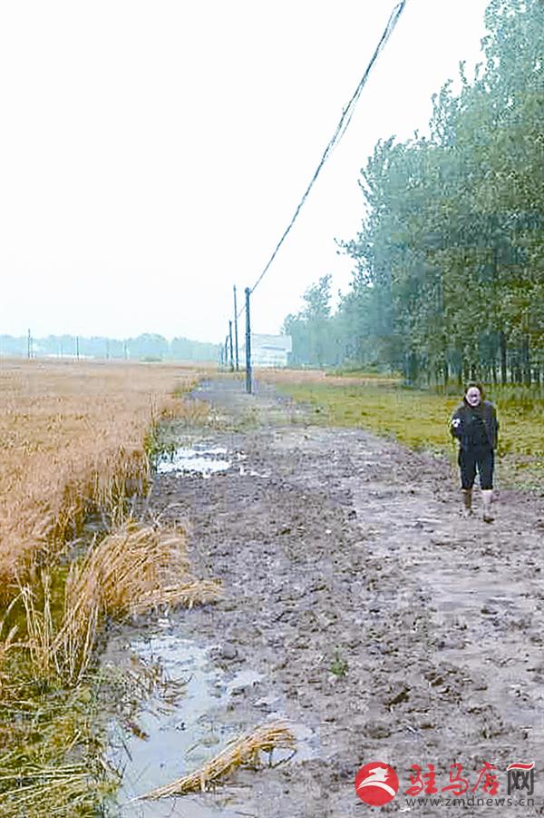 wangk18083.jpg