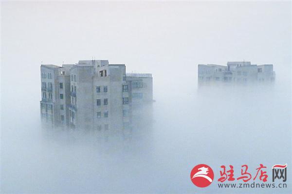 yangf1811131.jpg
