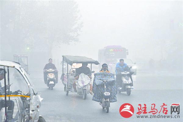 yangf1811129.jpg