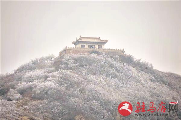zhaol181223.jpg