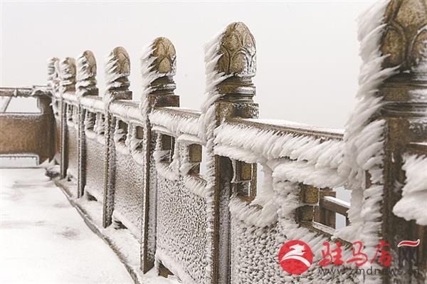 zhaol1812211.jpg