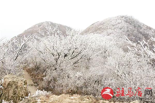 zhaol181224.jpg