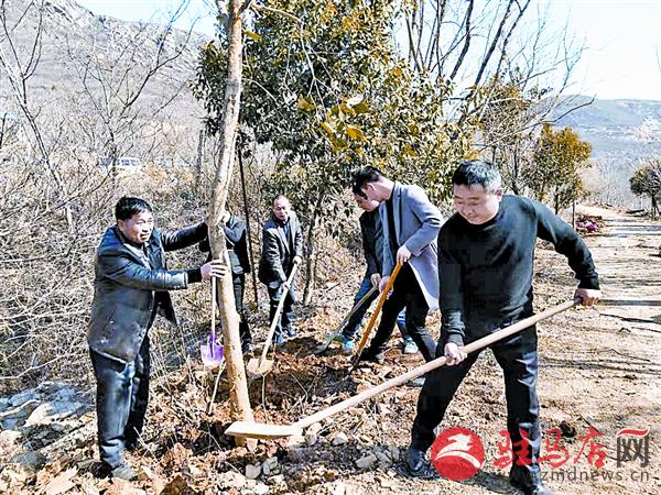 yaohf190371.jpg