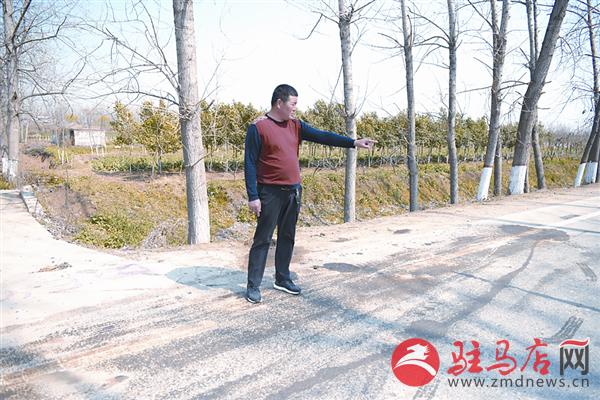 yangxh1903168.jpg