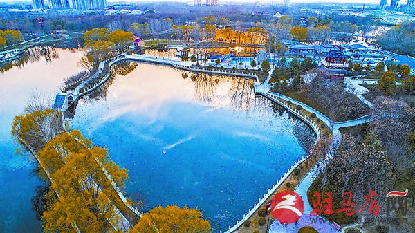 zhengsq190346.jpg