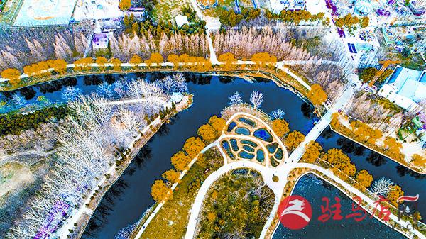 zhengsq190352.jpg