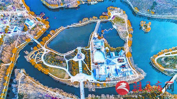 zhengsq190351.jpg