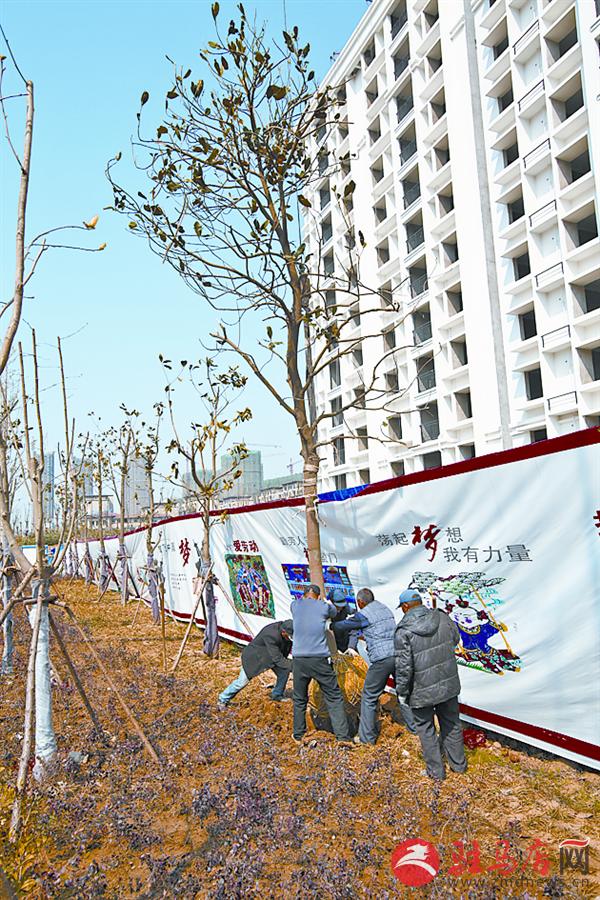 zhengsq190384.jpg