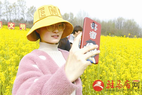 guols1903392.jpg