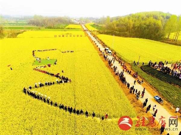 guols1903391.jpg