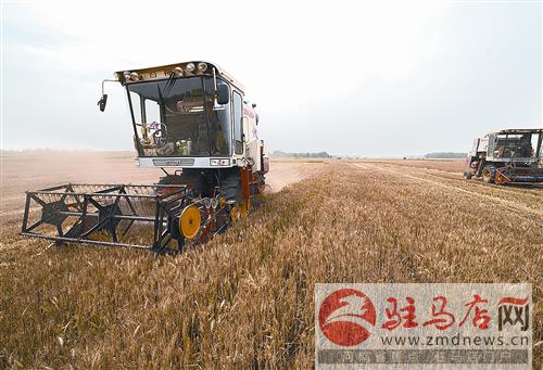 luf1405385.jpg