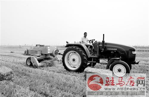 guols1406108.jpg