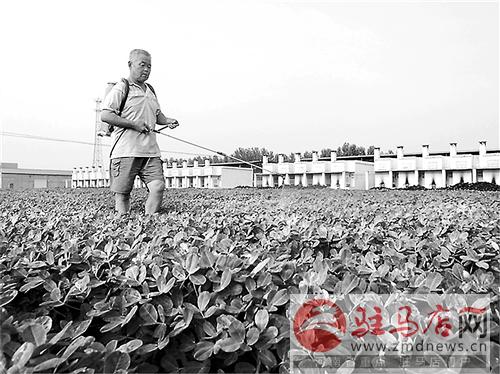 guols1406585.jpg