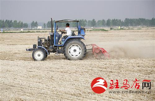 guols140792.jpg