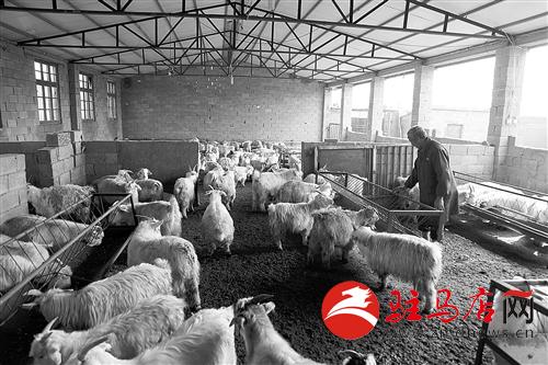 zhangz14111.jpg