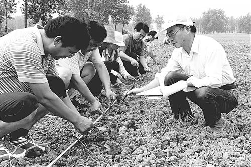 guols1407364.jpg