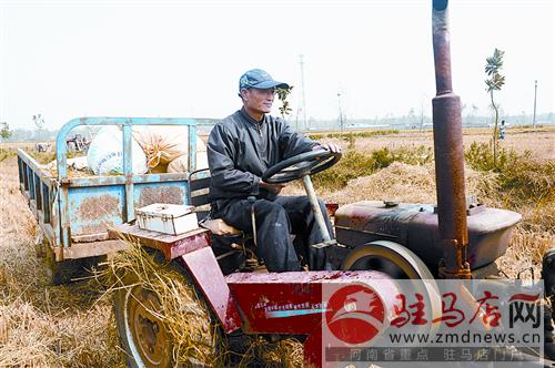 luf141094.jpg