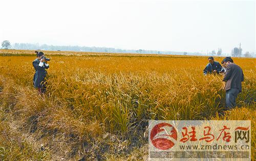 luf141093.jpg