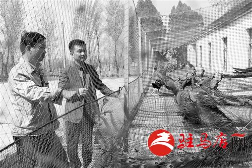 zhangz141191.jpg