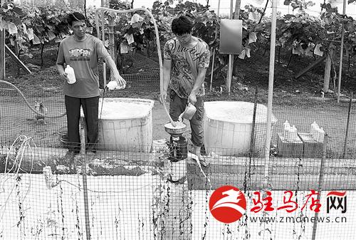 guols1407310.jpg